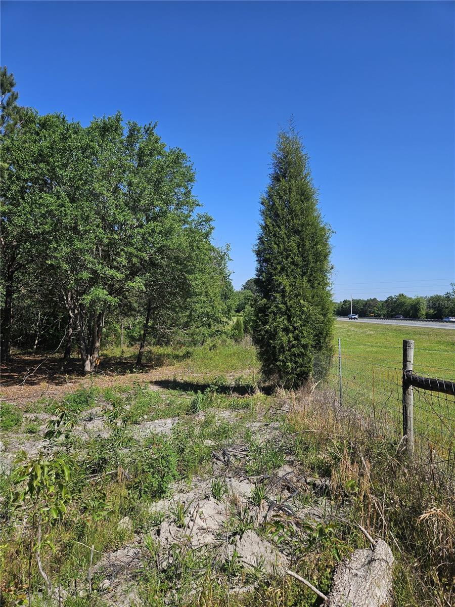 000 SW MIXSON RD, LAKE CITY, FL — photo 2