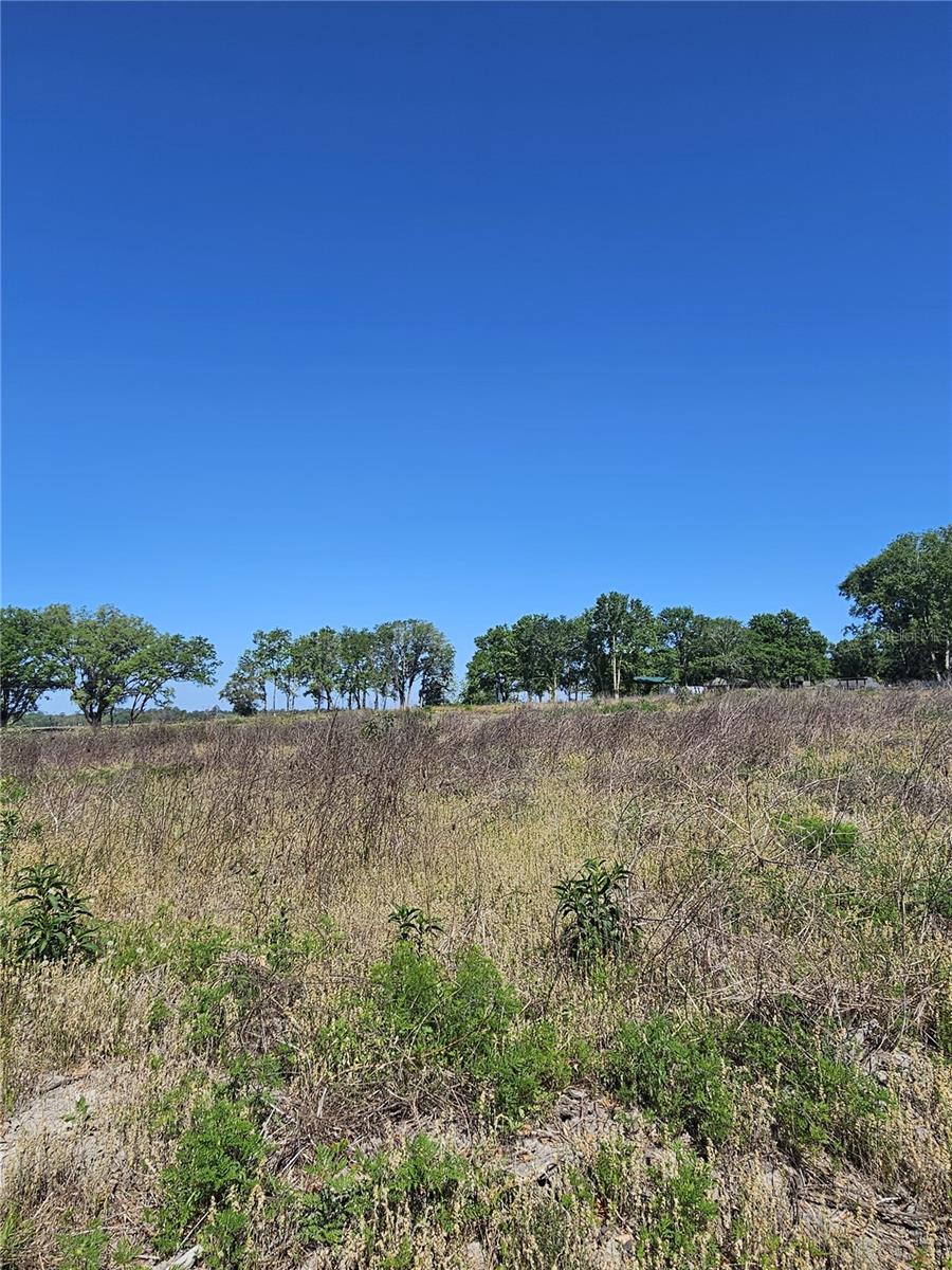 000 SW MIXSON RD, LAKE CITY, FL — photo 4