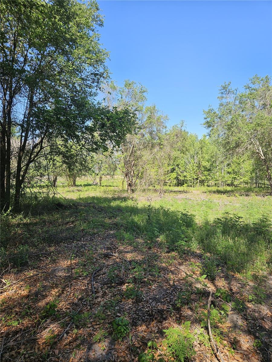 000 SW MIXSON RD, LAKE CITY, FL — photo 6
