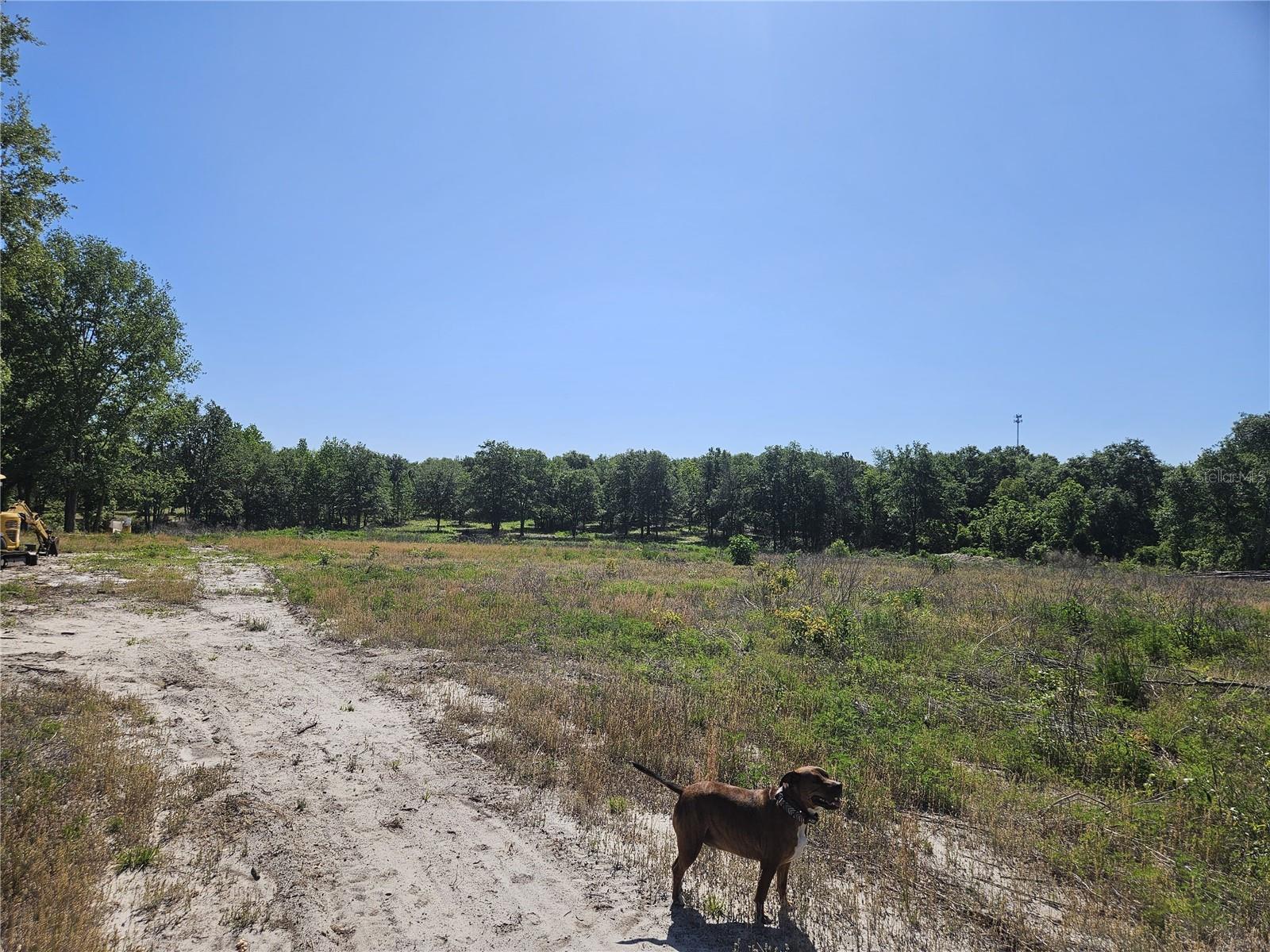 000 SW MIXSON RD, LAKE CITY, FL — photo 7