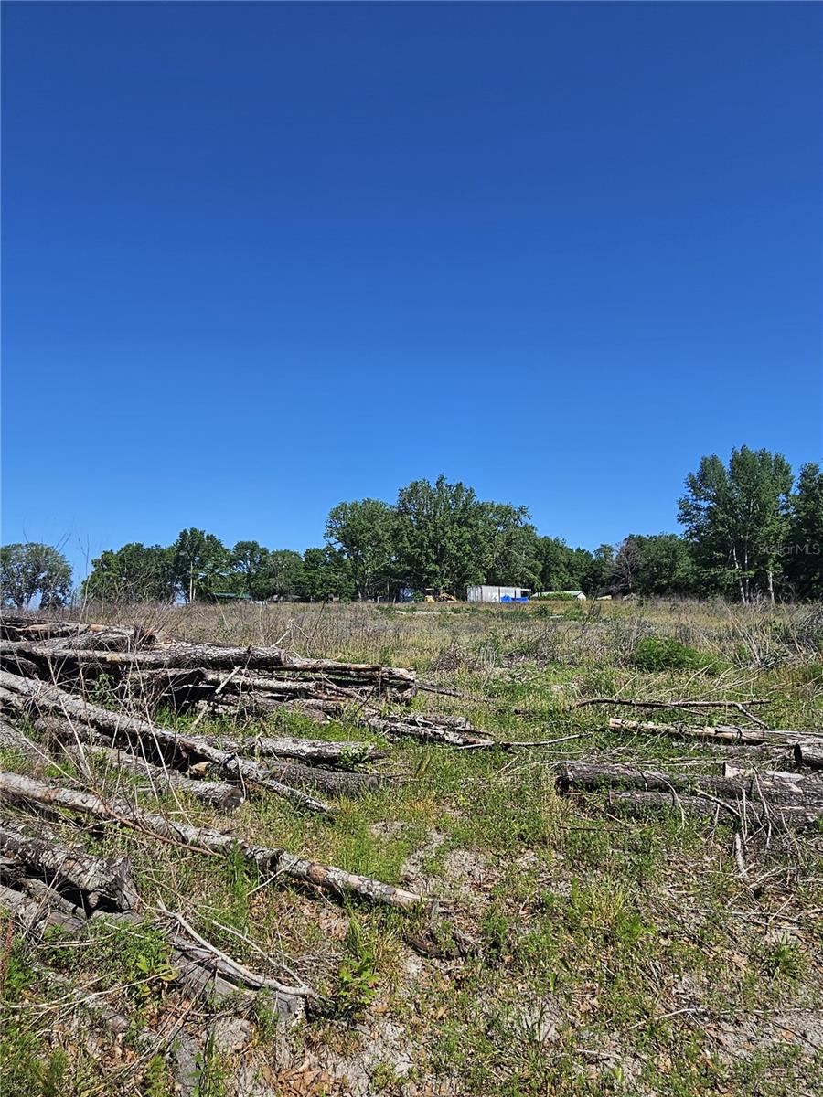 000 SW MIXSON RD, LAKE CITY, FL — photo 10