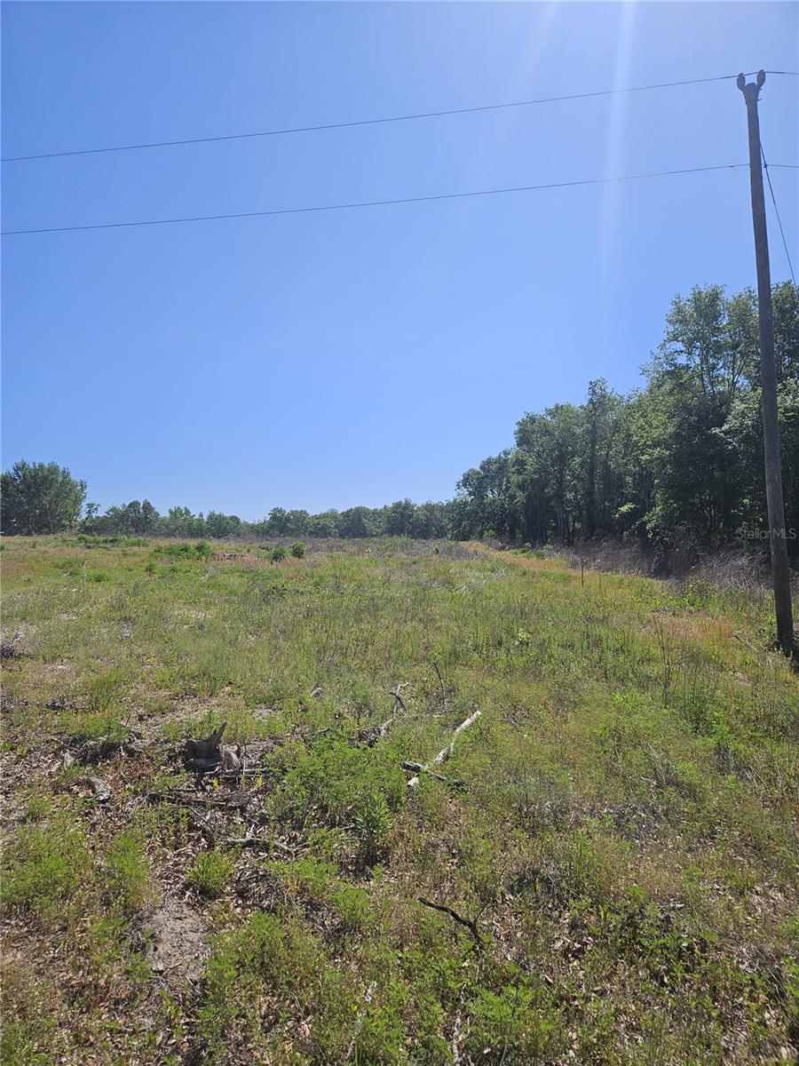000 SW MIXSON RD, LAKE CITY, FL — photo 11