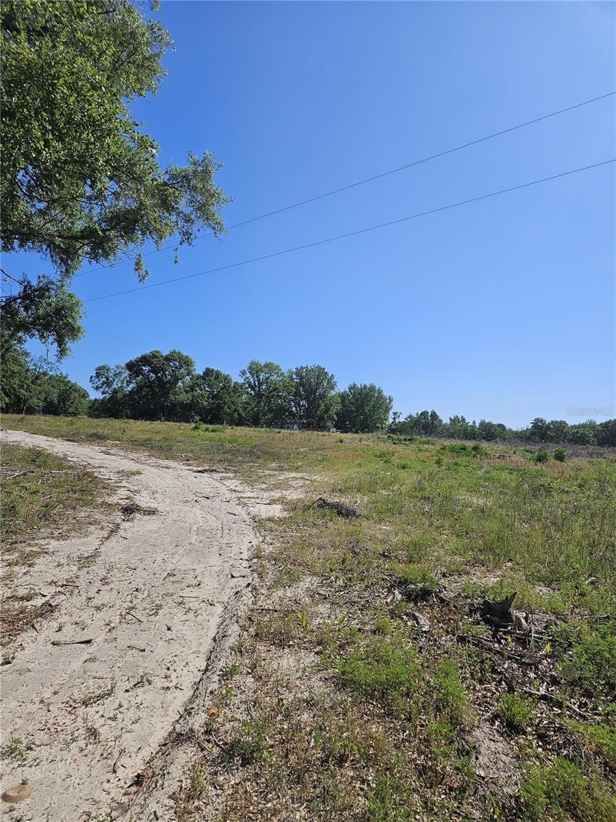 000 SW MIXSON RD, LAKE CITY, FL — photo 12