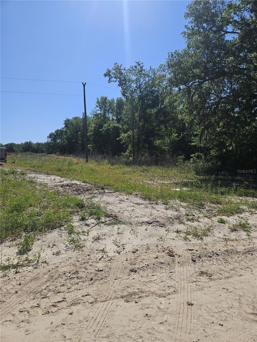 000 SW MIXSON RD, LAKE CITY, FL — photo 13