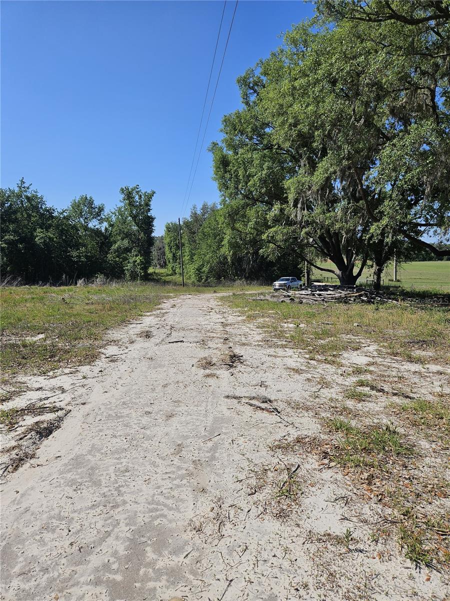 000 SW MIXSON RD, LAKE CITY, FL — photo 14
