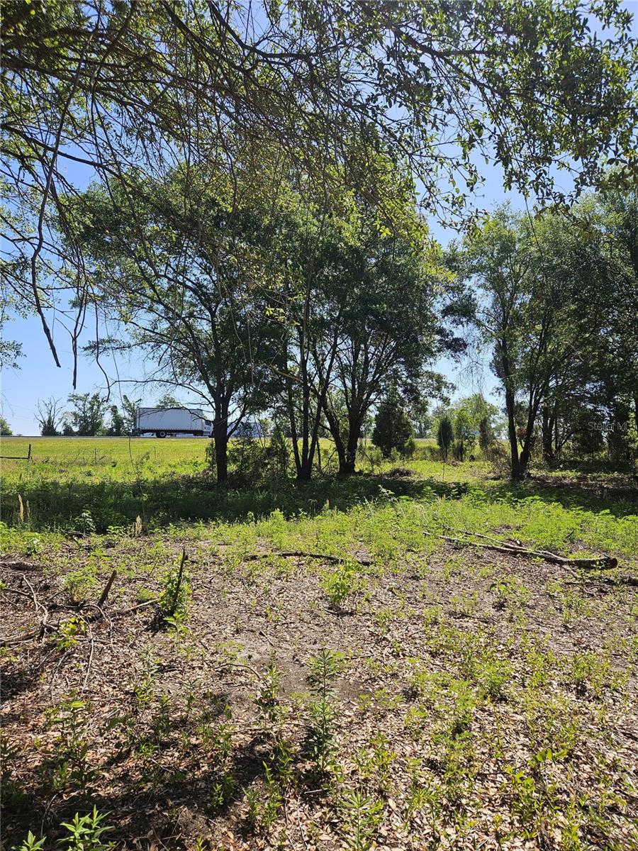 000 SW MIXSON RD, LAKE CITY, FL — photo 15