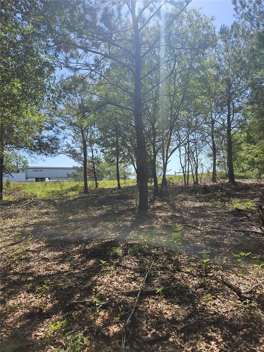 000 SW MIXSON RD, LAKE CITY, FL — photo 16