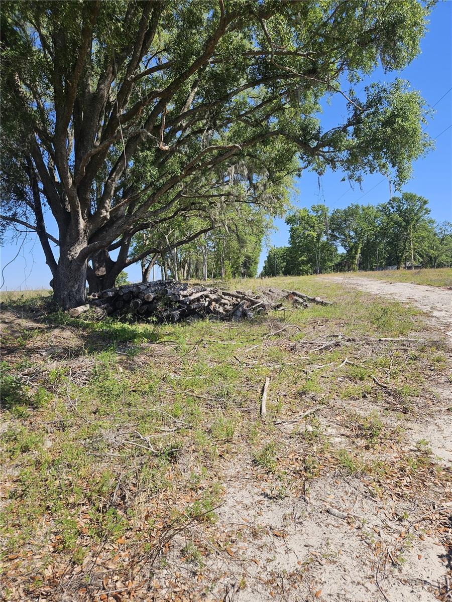 000 SW MIXSON RD, LAKE CITY, FL — photo 18