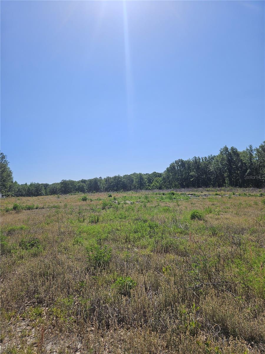 000 SW MIXSON RD, LAKE CITY, FL — photo 20