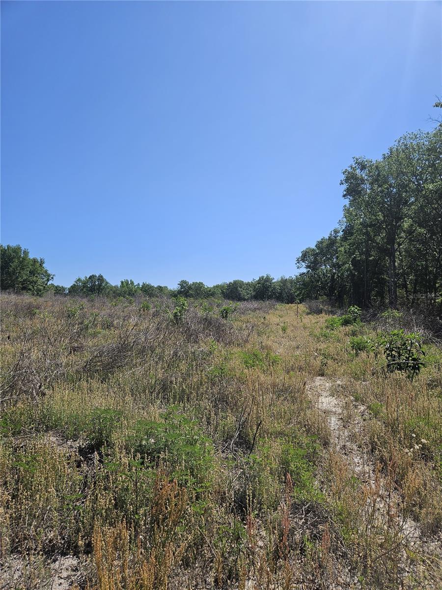 000 SW MIXSON RD, LAKE CITY, FL — photo 21