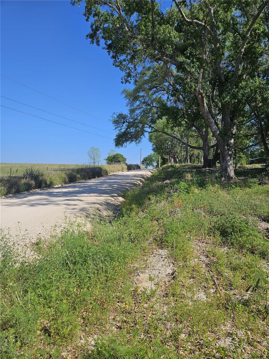 000 SW MIXSON RD, LAKE CITY, FL — photo 22