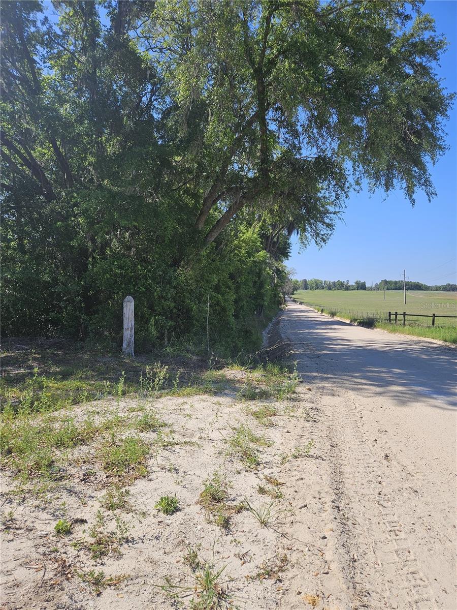 000 SW MIXSON RD, LAKE CITY, FL — photo 23