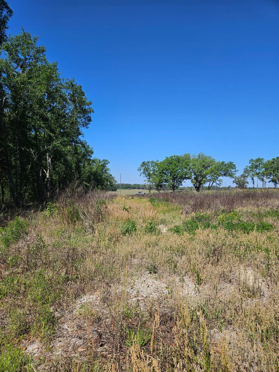 000 SW MIXSON RD, LAKE CITY, FL — photo 24