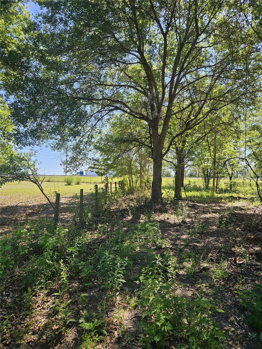 000 SW MIXSON RD, LAKE CITY, FL — photo 25