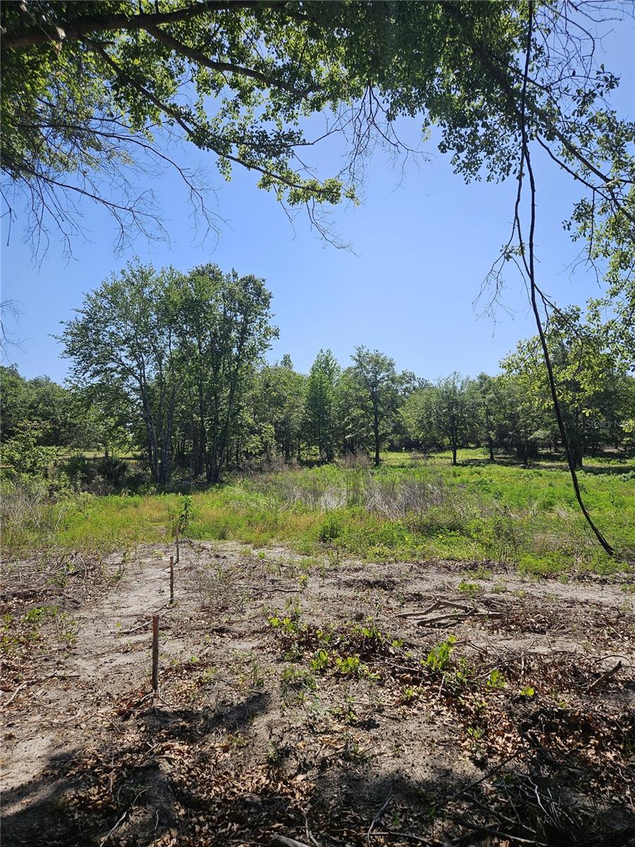 000 SW MIXSON RD, LAKE CITY, FL — photo 26