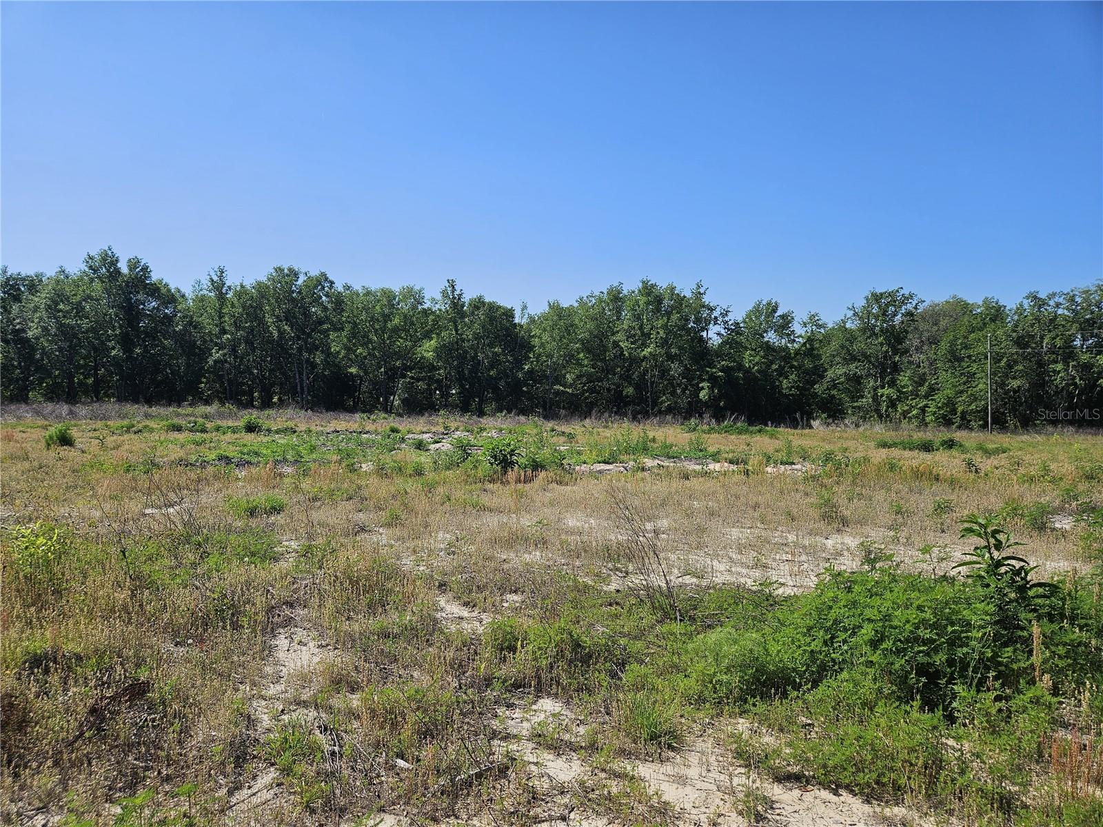 000 SW MIXSON RD, LAKE CITY, FL — photo 28