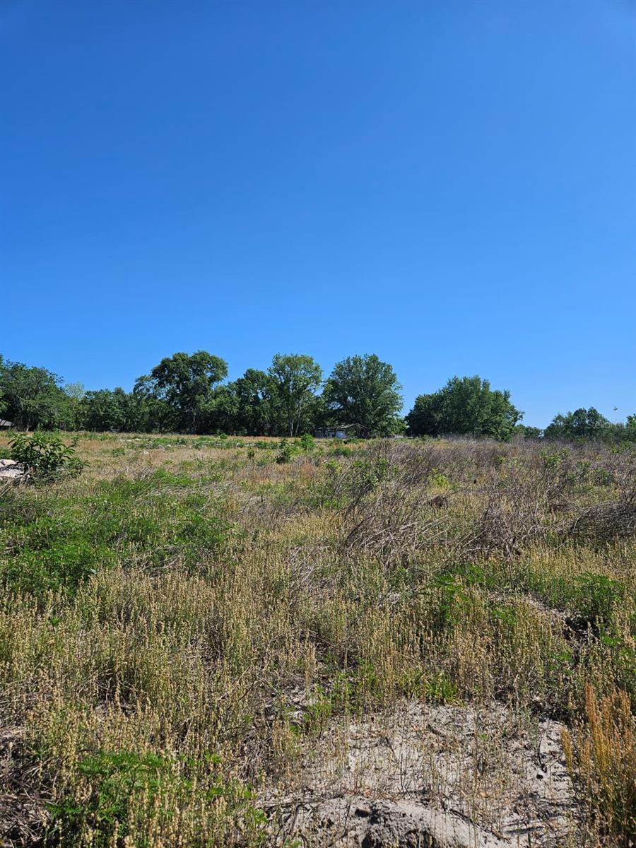000 SW MIXSON RD, LAKE CITY, FL — photo 29