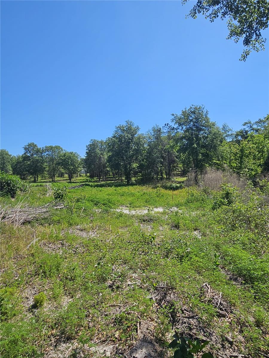 000 SW MIXSON RD, LAKE CITY, FL — photo 31