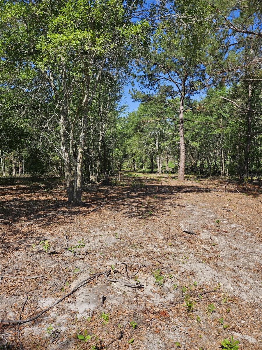 000 SW MIXSON RD, LAKE CITY, FL — photo 33