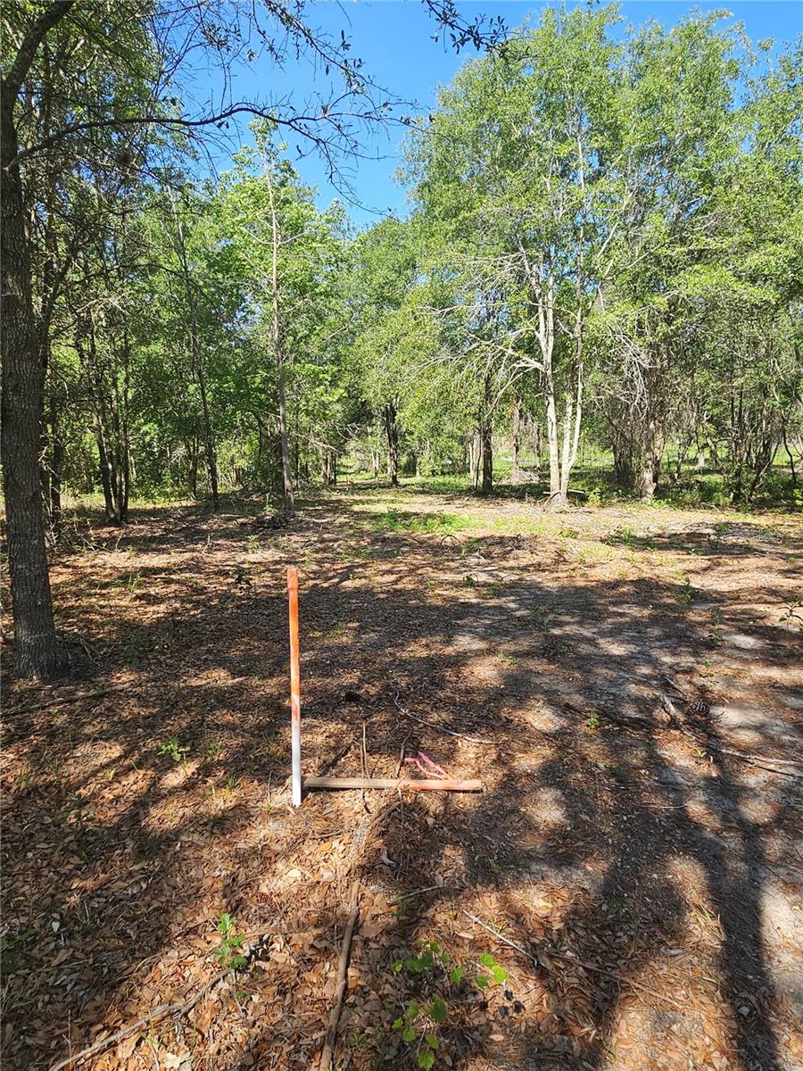 000 SW MIXSON RD, LAKE CITY, FL — photo 34