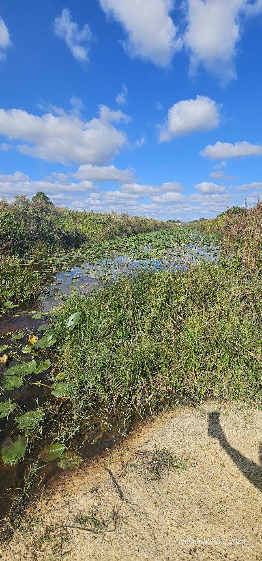 18398 NW 286TH ST, OKEECHOBEE, FL — photo 12