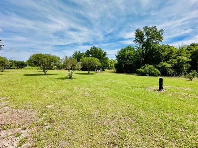 6814 REDWING RD, GROVELAND, FL — photo 16