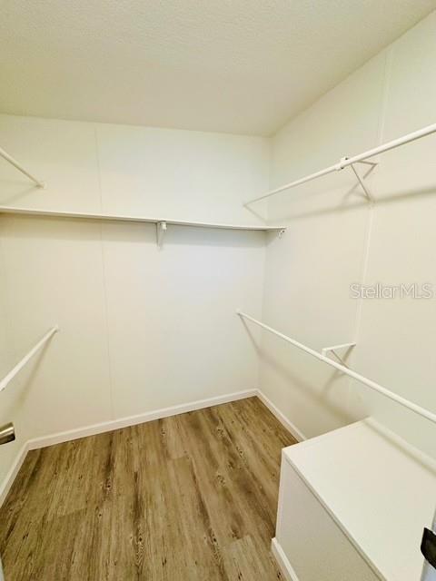 6814 REDWING RD, GROVELAND, FL — photo 27