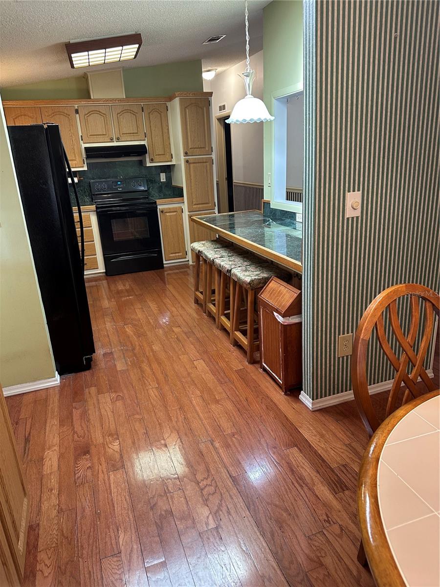 907 ORCHID ST, LADY LAKE, FL — photo 14