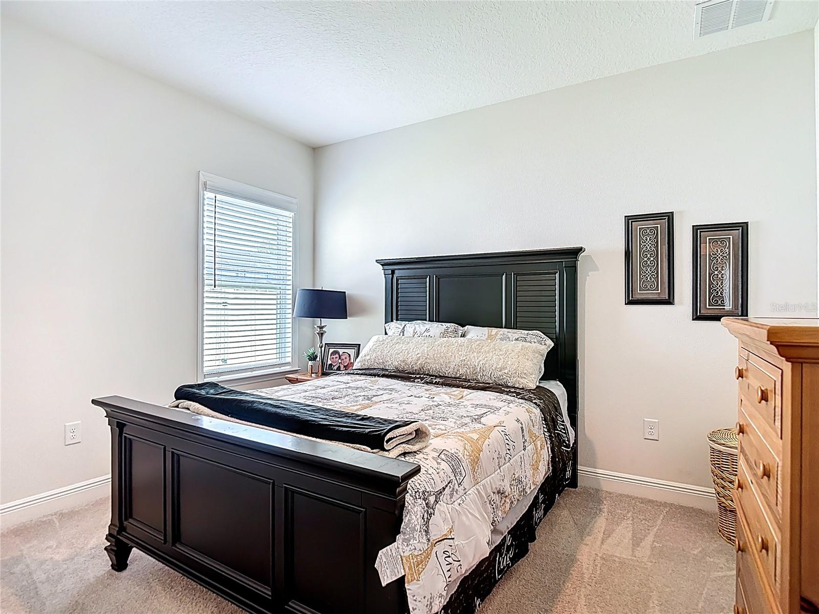 30980 JAZZ LEAF PL, SAN ANTONIO, FL — photo 28