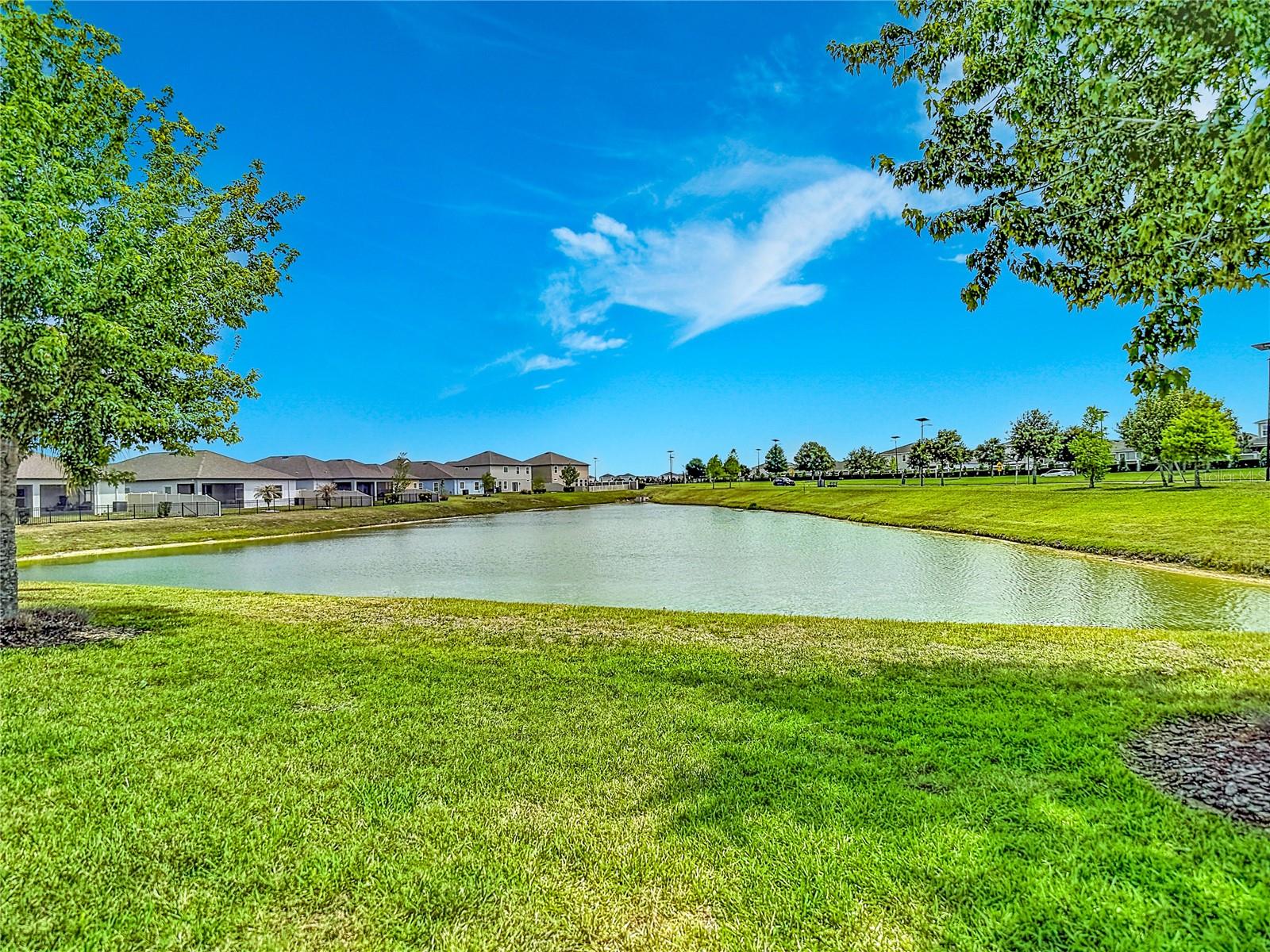 30980 JAZZ LEAF PL, SAN ANTONIO, FL — photo 42
