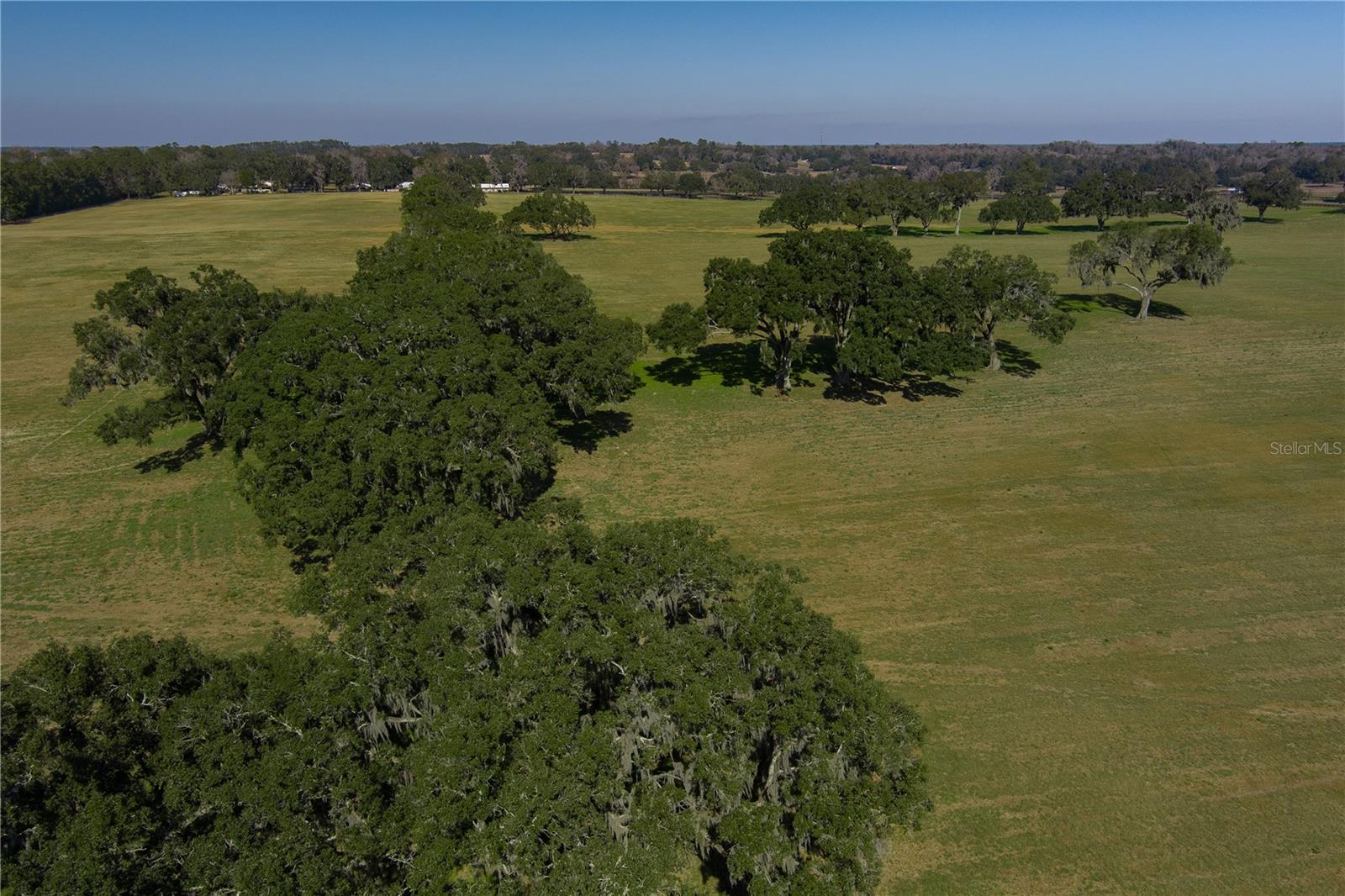 TBD NW GAINESVILLE RD, REDDICK, FL — photo 4