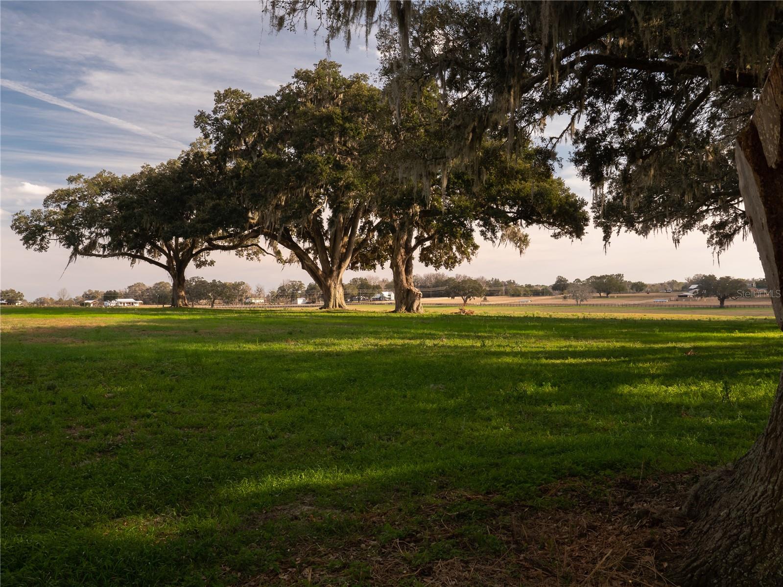 TBD NW GAINESVILLE RD, REDDICK, FL — photo 5