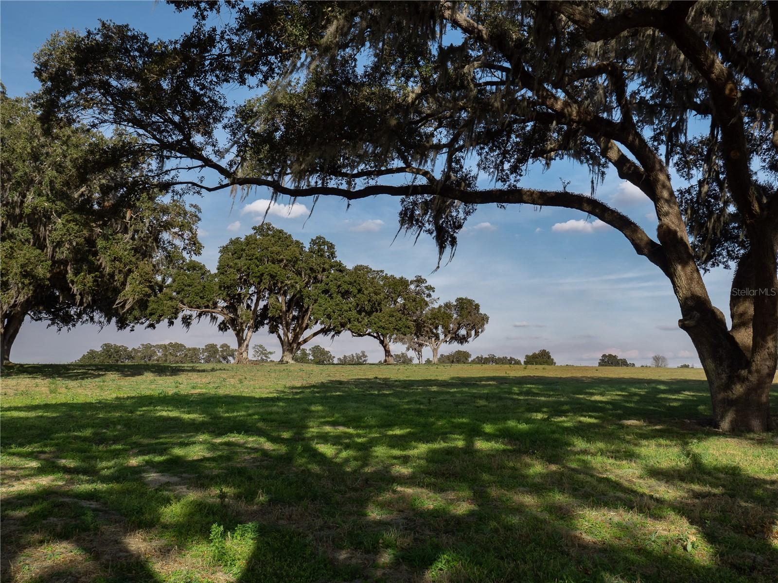 TBD NW GAINESVILLE RD, REDDICK, FL — photo 6