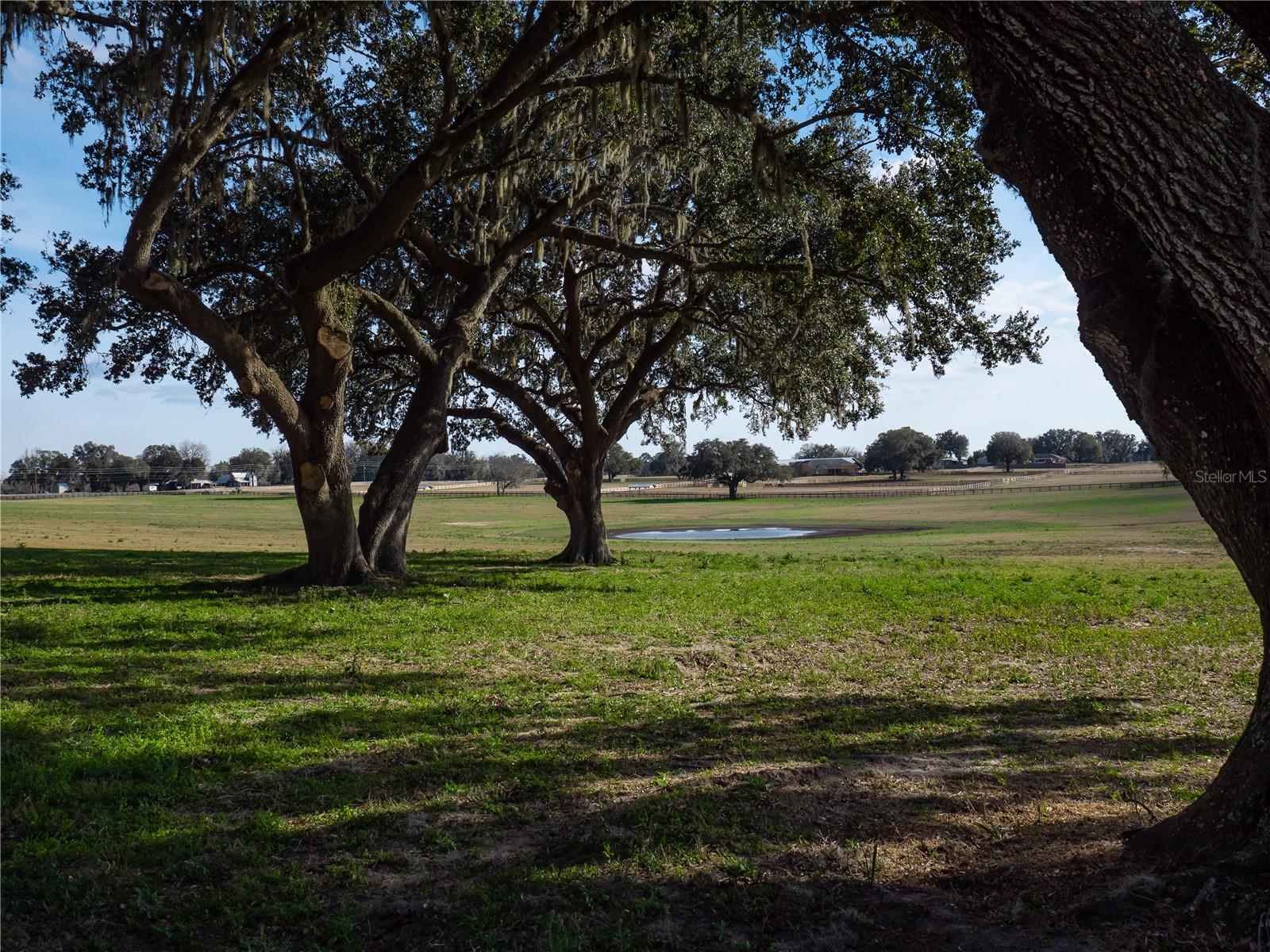 TBD NW GAINESVILLE RD, REDDICK, FL — photo 9