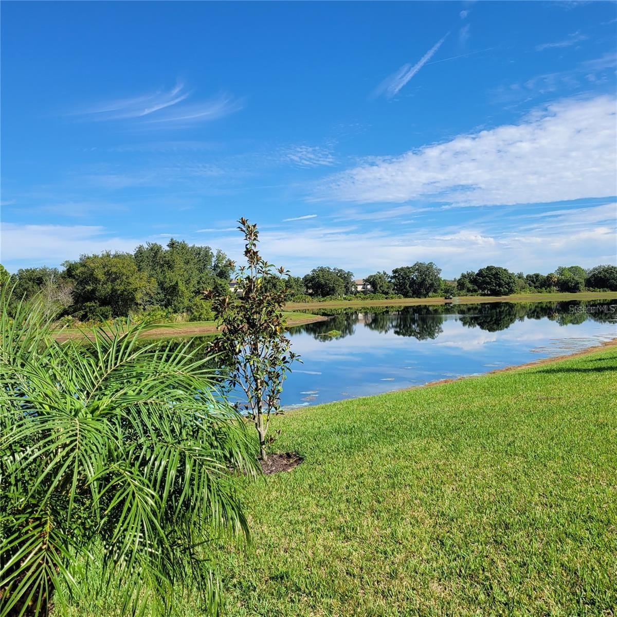 17335 BLUE RIDGE PL, BRADENTON, FL — photo 29