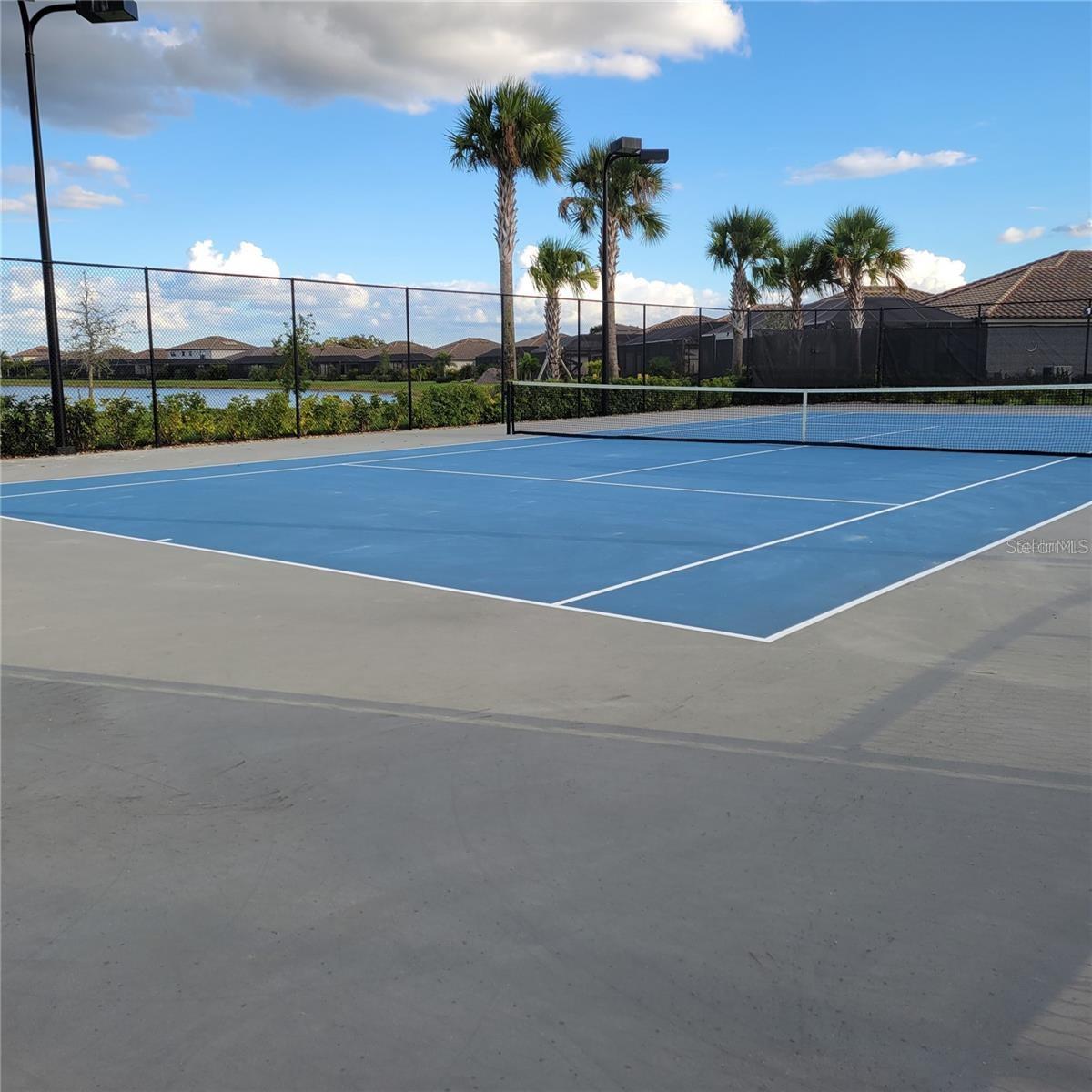 17335 BLUE RIDGE PL, BRADENTON, FL — photo 41