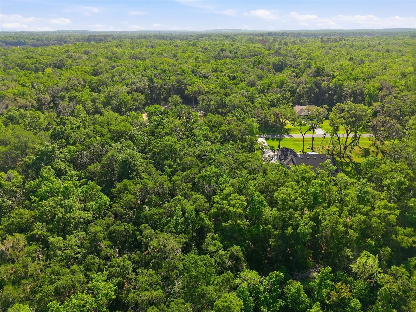 REPUBLICAN (LOT 2) WAY, BROOKSVILLE, FL — photo 9