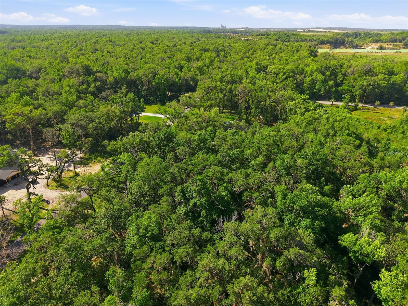 REPUBLICAN (LOT 2) WAY, BROOKSVILLE, FL — photo 11