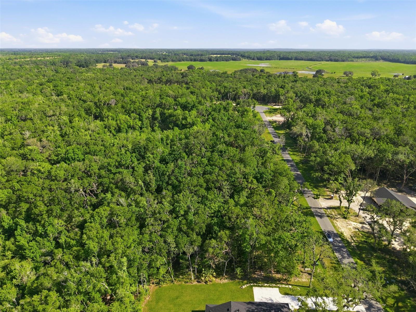 REPUBLICAN (LOT 2) WAY, BROOKSVILLE, FL — photo 23