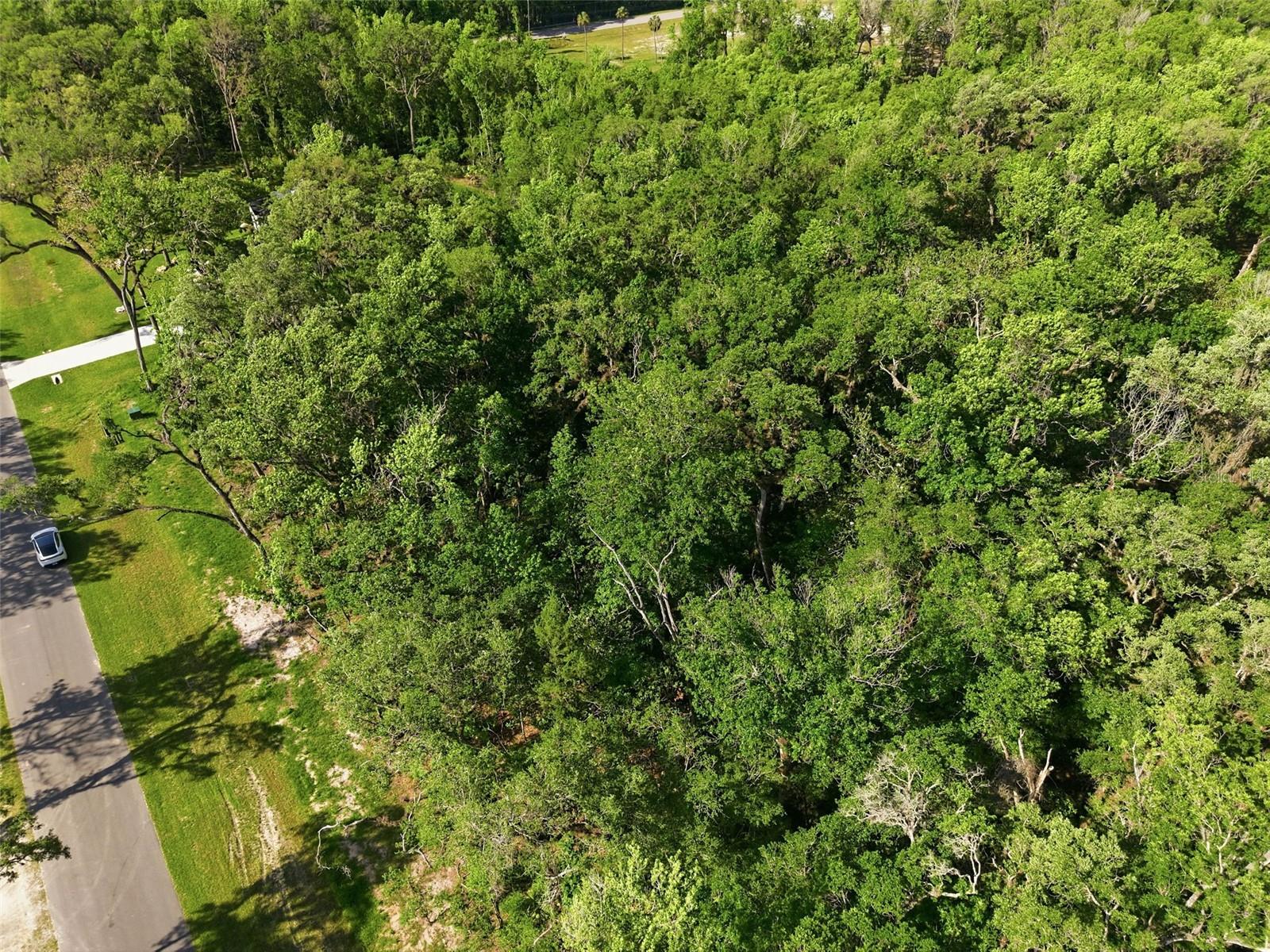REPUBLICAN (LOT 2) WAY, BROOKSVILLE, FL — photo 29