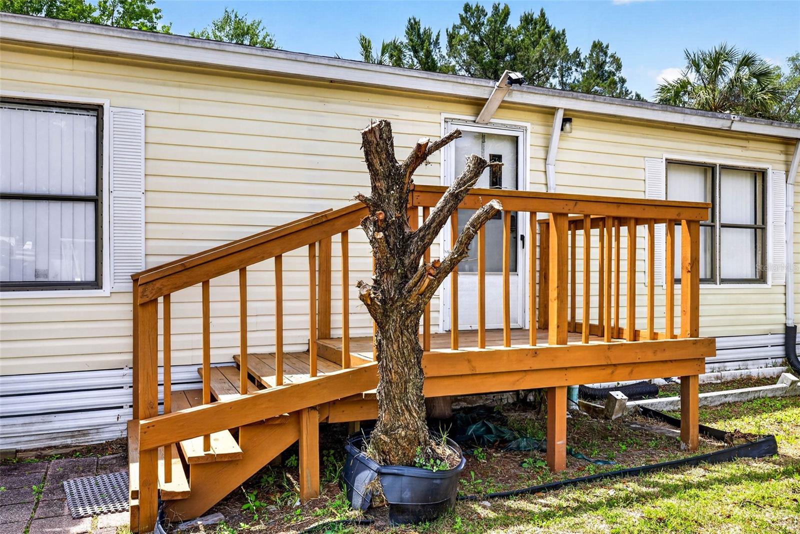 8552 W PEACOCK CT, HOMOSASSA, FL — photo 5