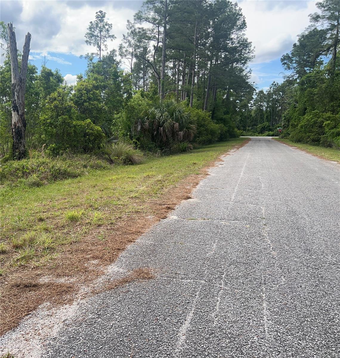 BANYAN ST #Unit No. 1, EUSTIS, FL — photo 5