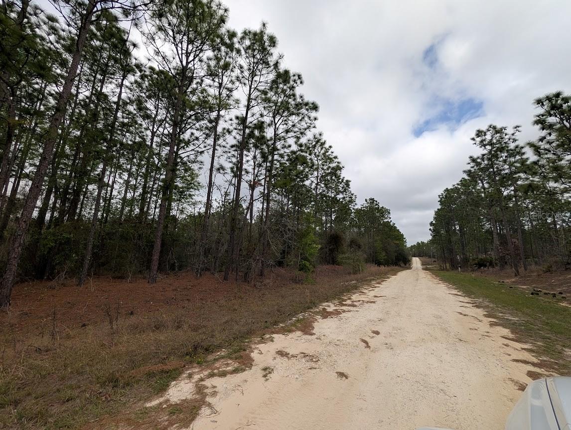 SW 62ND PL, OCALA, FL — photo 4