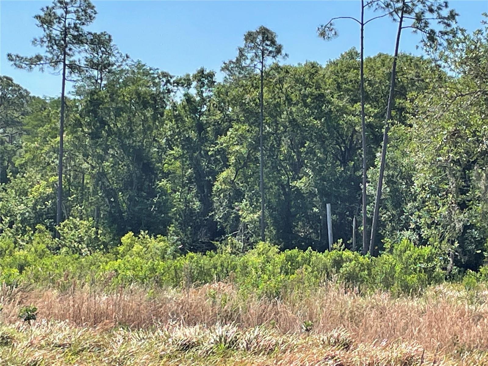 AVONWOOD, TAMPA, FL — photo 7
