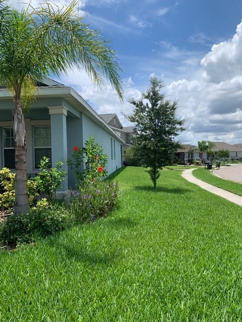 14072 GOLD BRIDGE DR, ORLANDO, FL — photo 4