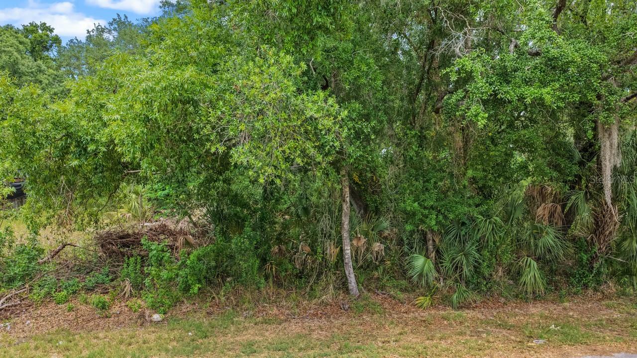 704 1ST AVE NE, RUSKIN, FL — photo 5