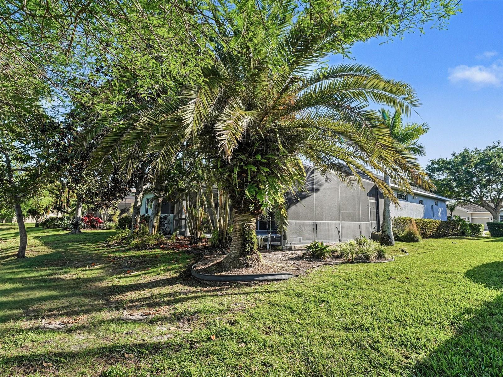 13950 WOOD DUCK CIR, LAKEWOOD RANCH, FL — photo 33