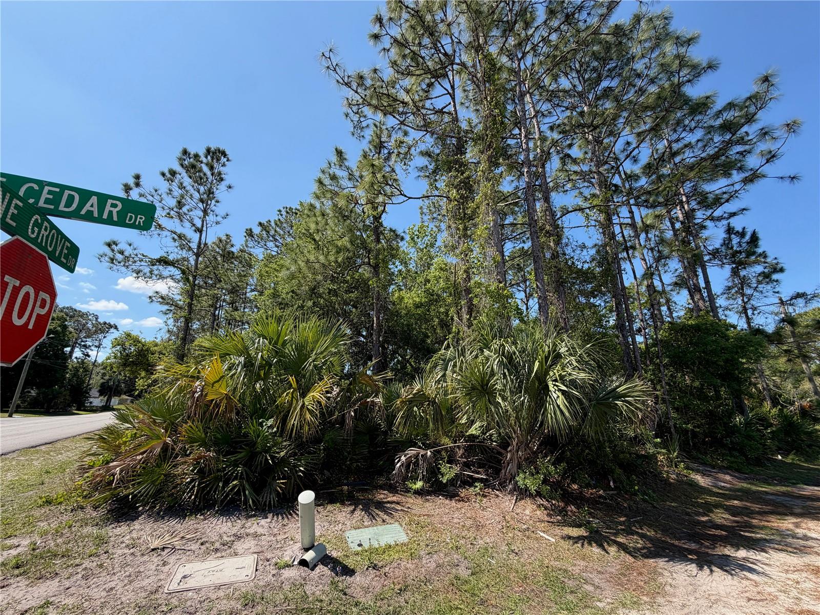 60 PINE CEDAR DR, PALM COAST, FL — photo 3
