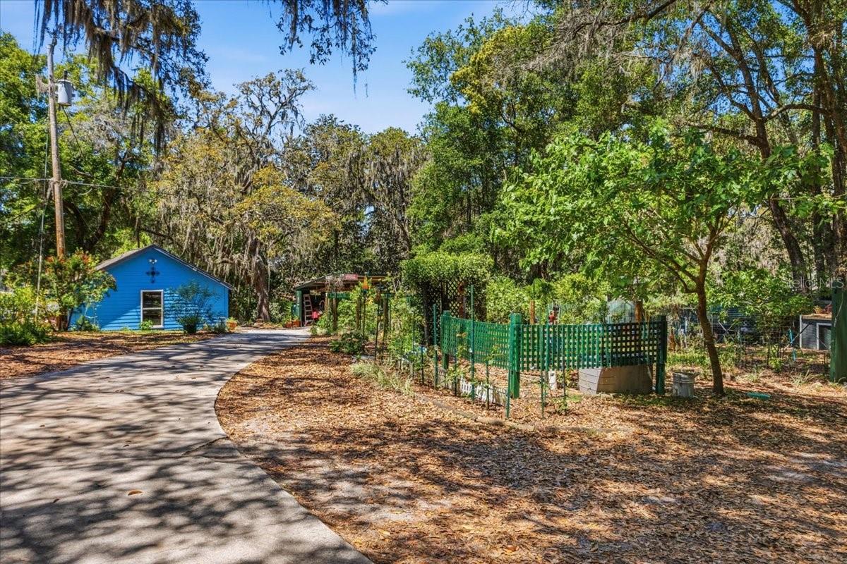 8386 AUSTIN RD, MELROSE, FL — photo 59