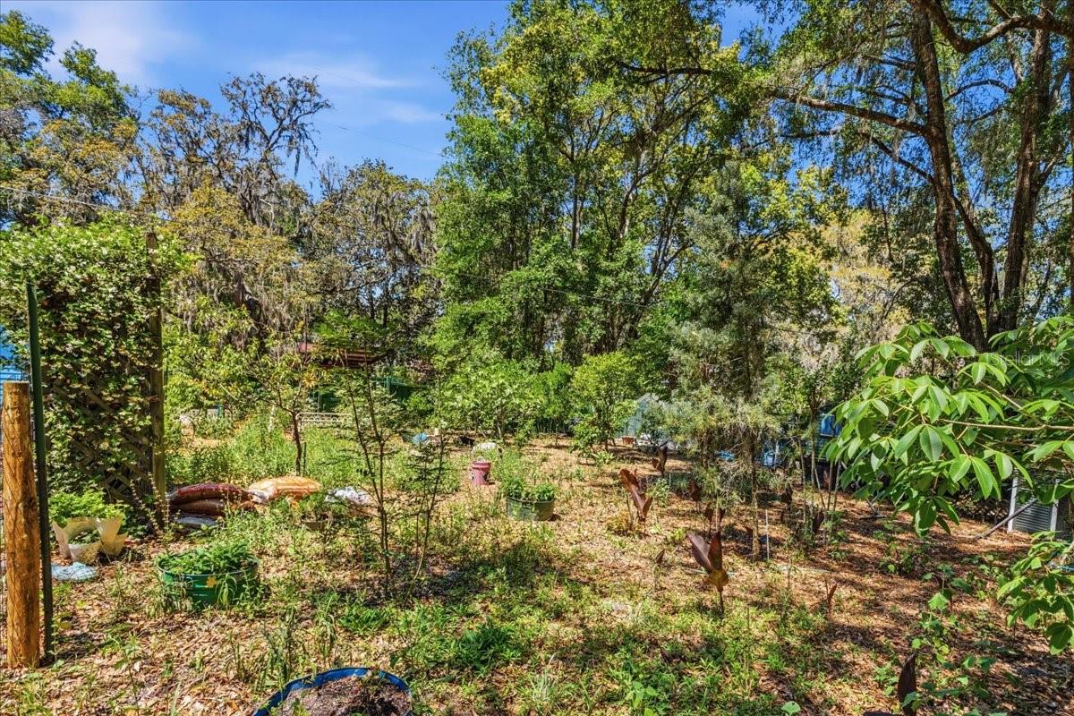 8386 AUSTIN RD, MELROSE, FL — photo 66